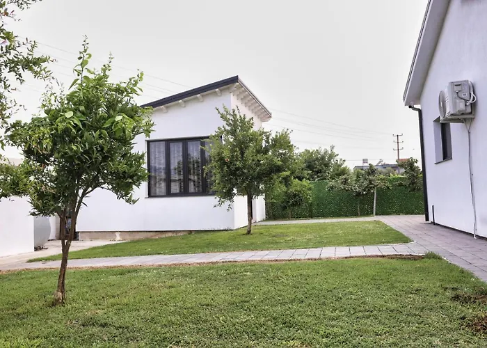 Holliday * 地拉那